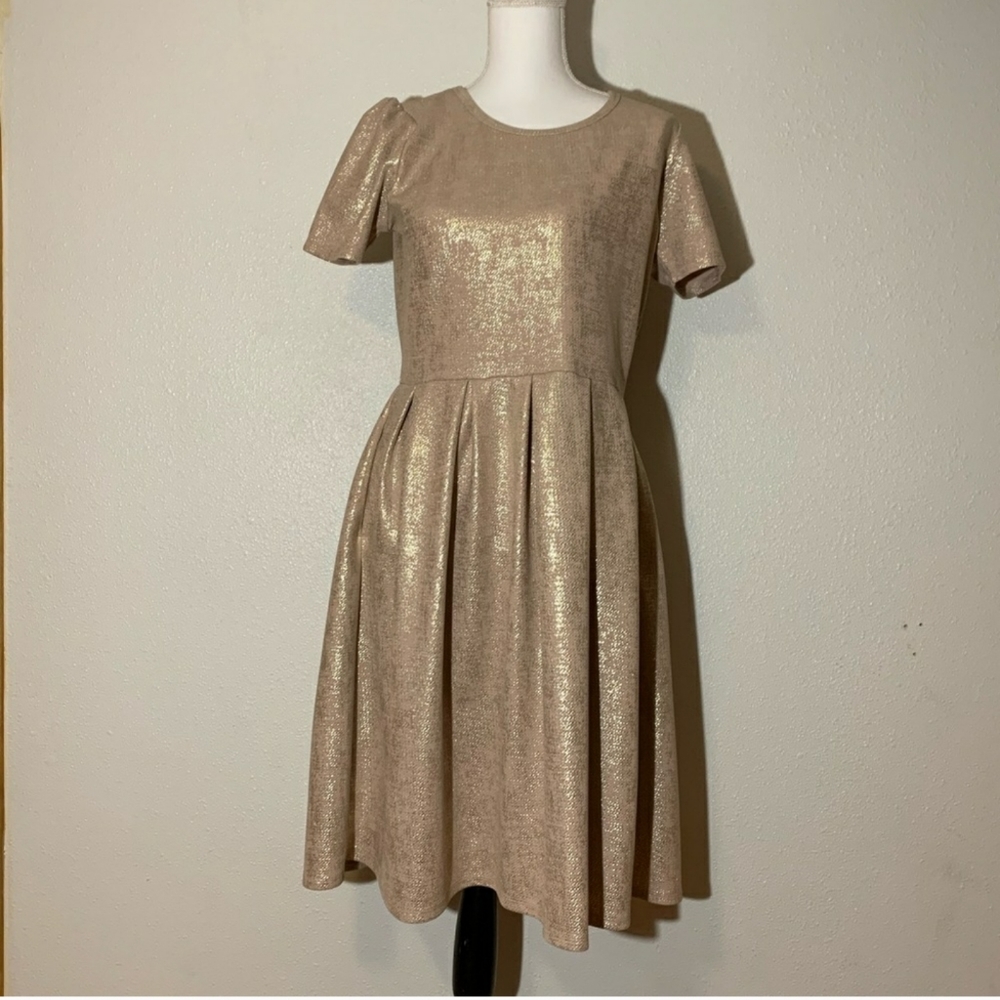 2 lularoe Amelia dresses